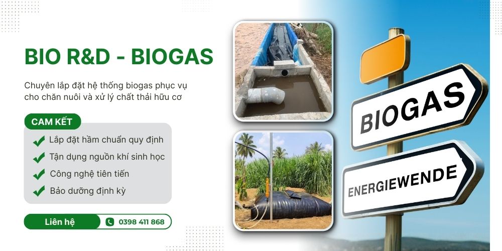 Bio R&D chuyên lắp đặt hệ thống Biogas tối ưu cho chăn nuôi và xử lý chất thải hữu cơ.