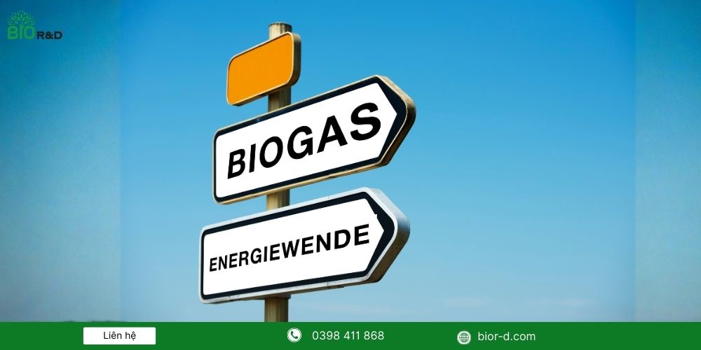 Biogas là gì? Vì sao nên lắp đặt hệ thống biogas