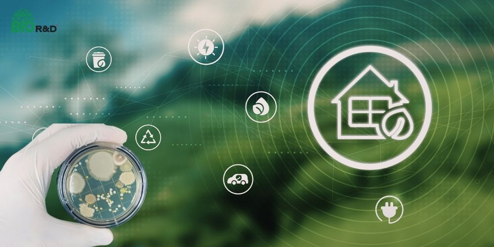 Công nghệ vi sinh