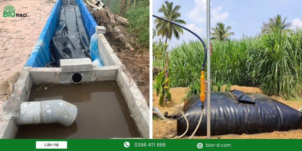 Hầm kết hợp túi biogas
