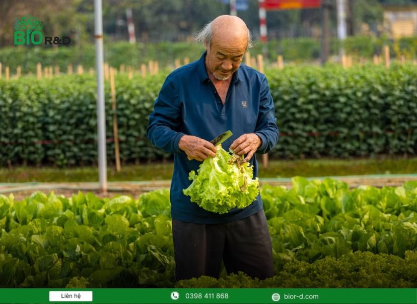 Các mô hình nông nghiệp tuần hoàn thông minh được ứng dụng phổ biến