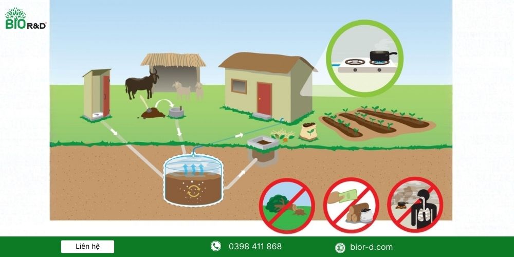 Mô hình biogas cho các trang trại, hộ gia đình chăn nuôi