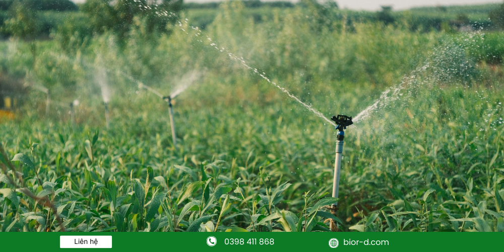 Nông nghiệp thuận thiên thân thiện với môi trường