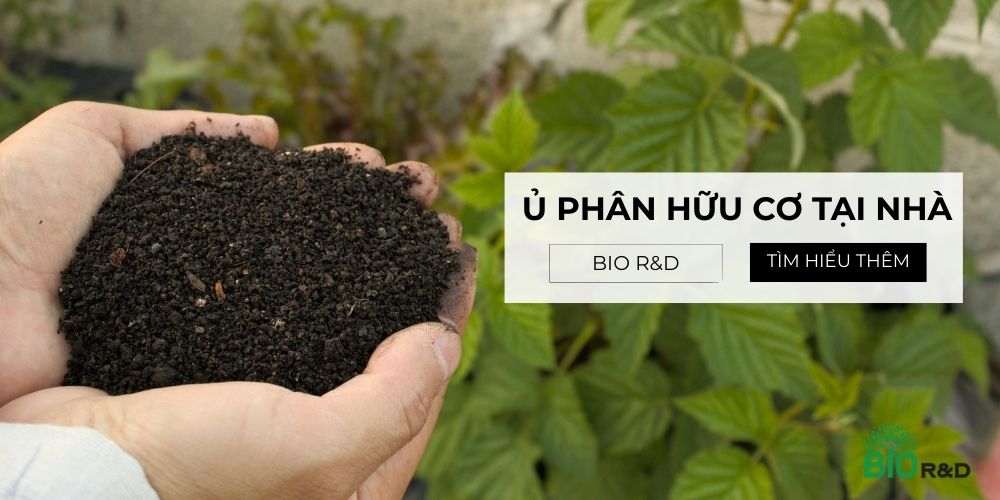 Cách ủ phân hữu cơ tại nhà: Đơn giản, tiết kiệm, cực tốt cho cây trồng