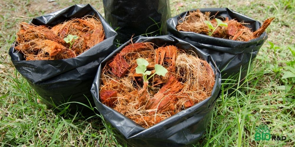 Giới thiệu về phân hữu cơ ​