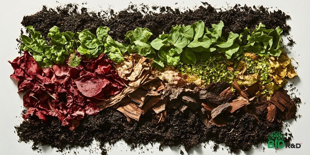 Phân hữu cơ tự nhiên