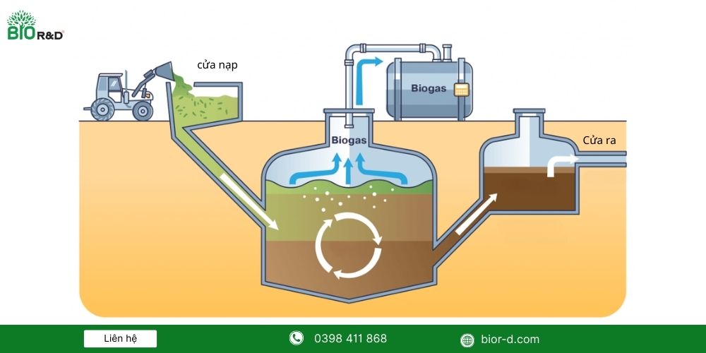 Sơ đồ cấu tạo hệ thống biogas