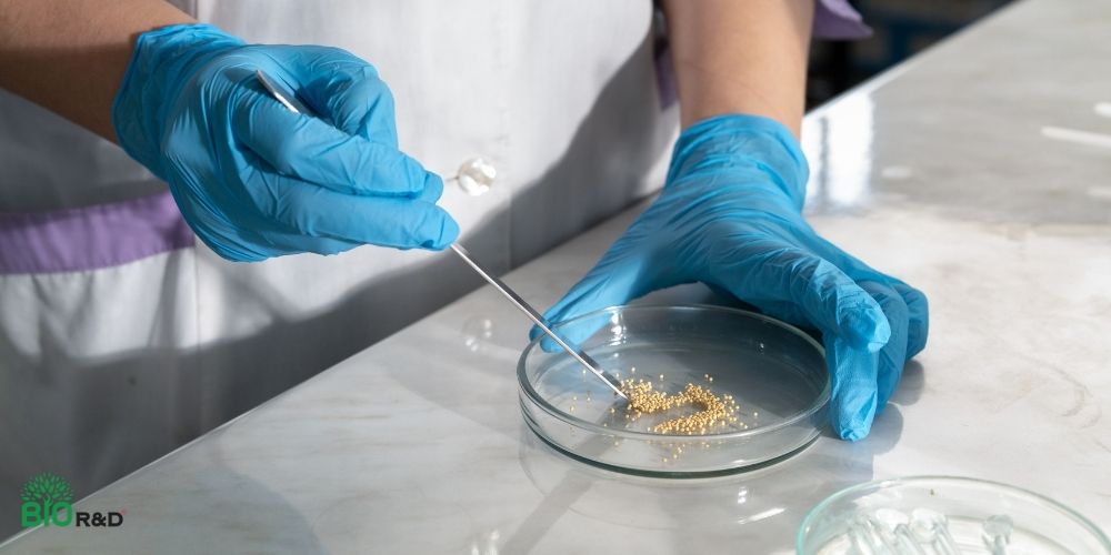 Ứng dụng công nghệ vi sinh vật