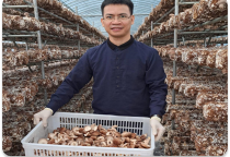 Thực Phẩm Hữu Cơ 