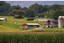 Dịch Vụ Chăn Nuôi Của BIO R&d - Ứng Dụng Công Nghệ Vi Sinh Khép Kín Hướng Tới Nông Nghiệp Bền Vững