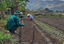 Lợi Ích Của Việc Tiêu Thụ Nông Sản Hữu Cơ: Sự Lựa Chọn Sức Khỏe Bền Vững