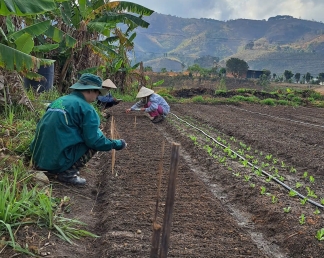 Lợi Ích Của Việc Tiêu Thụ Nông Sản Hữu Cơ: Sự Lựa Chọn Sức Khỏe Bền Vững
