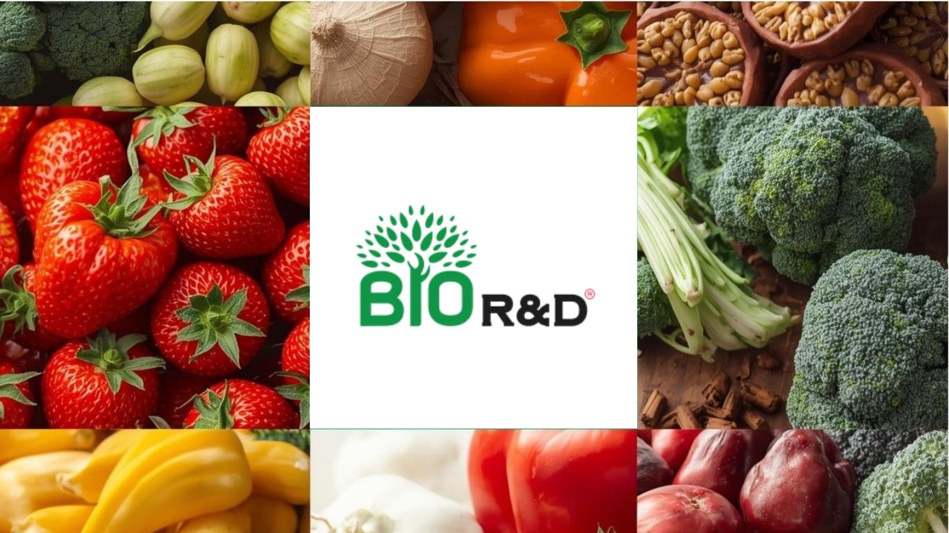 Nông sản an toàn từ vùng nguyên liệu BIO R&DNông sản an toàn từ vùng nguyên liệu BIO R&DNông sản an toàn từ vùng nguyên liệu BIO R&D