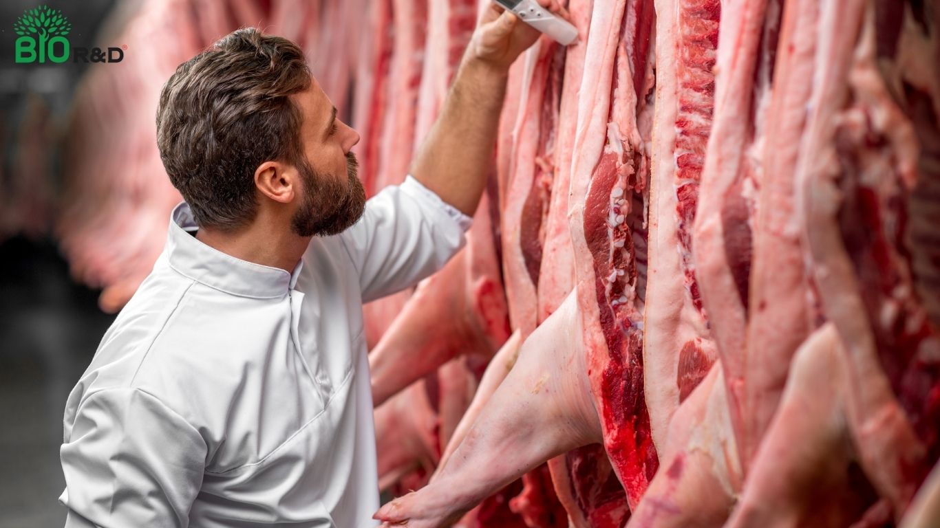 Thịt heo sạch BIO R&D đạt chuẩn an toàn thực phẩm