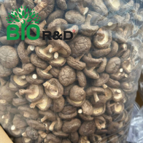 Nấm hương bao tử khô