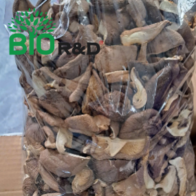 Nấm tươi loại C ( méo, nở)