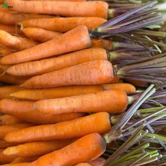 Cà rốt