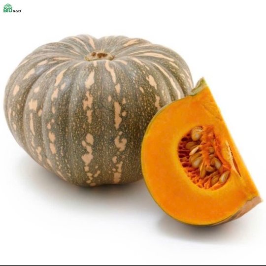 Bí Đỏ Bánh Xe